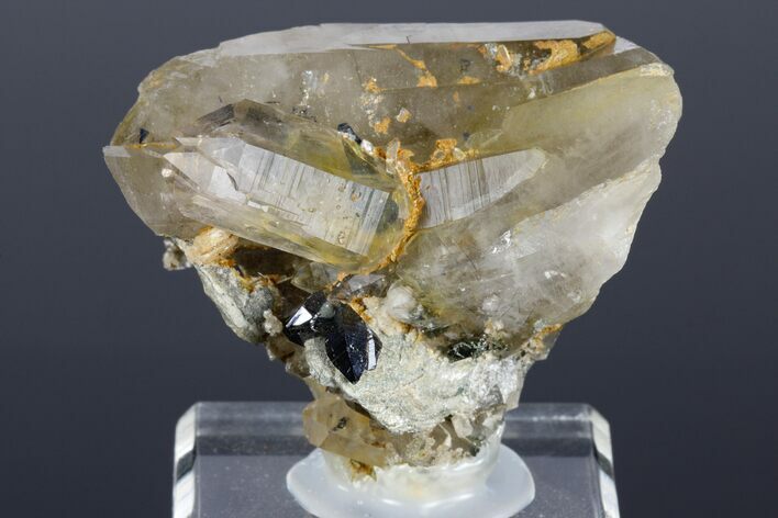 Quartz with Anatase Crystal Association - Hardangervidda, Norway #177367